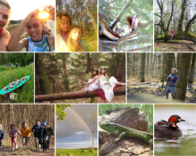 KONKURS FOTOGRAFICZNY                 "DO LASU WYRUSZAMY Z OKAZJI ŚWIĘTA  MAMY"