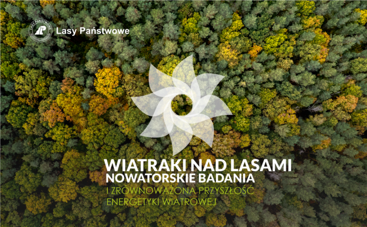 Na&#x20;tle&#x20;zdjęcia&#x20;lasu&#x20;zrobionego&#x20;z&#x20;lotu&#x20;ptaka&#x20;jasne&#x20;logo&#x20;symbolizujące&#x20;wiatrak&#x20;i&#x20;tytuł&#x20;artykułu&#x20;oraz&#x20;logo&#x20;LP&#x2e;
