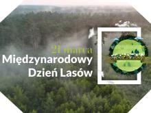 Międzynarodowy Dzień Lasów 2025