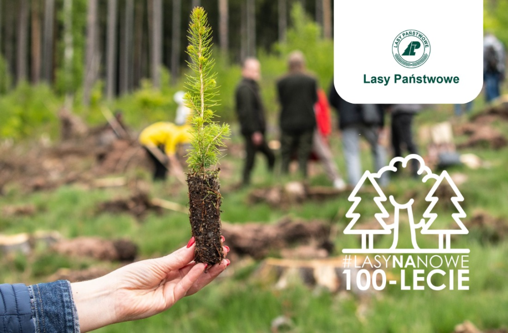 Na&#x20;pierwszym&#x20;planie&#x20;dłoń&#x20;trzymająca&#x20;sadzonkę&#x2c;&#x20;na&#x20;rozmazanym&#x20;tle&#x20;widać&#x20;ludzi&#x20;sadzących&#x20;las&#x2e;&#x20;Na&#x20;grafikę&#x20;naniesione&#x20;logo&#x20;akcji&#x20;&#x22;lasy&#x20;na&#x20;nowe&#x20;100-lecie&#x22;