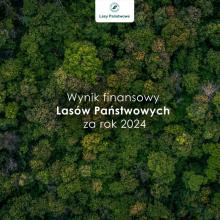 Lasy Państwowe z dodatnim wynikiem finansowym za 2024 rok