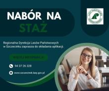Ruszył nabór na staż w nadleśnictwach RDLP w Szczecinku.