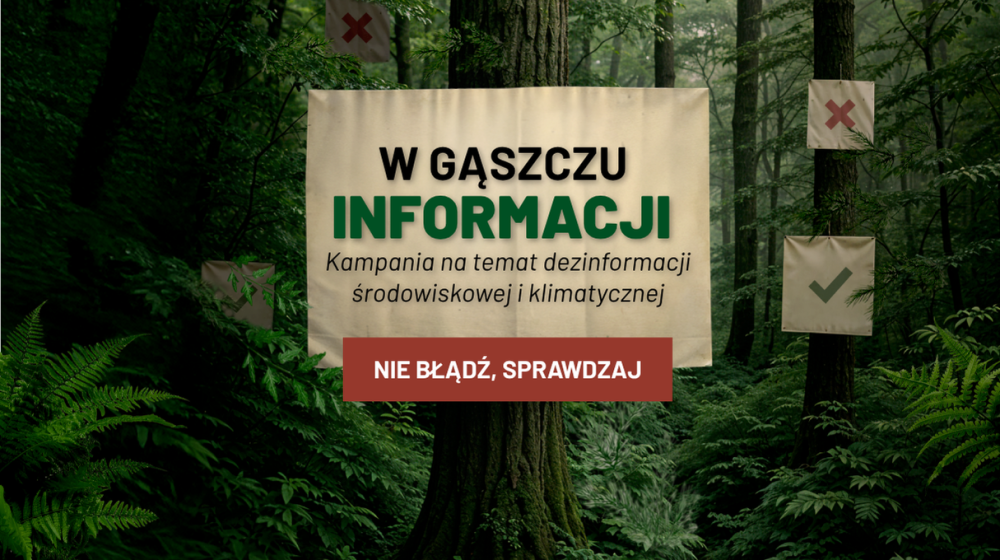 Grafika&#x20;Kampanii&#x3a;&#x20;&#x22;W&#x20;gąszczu&#x20;informacji&#x22;&#x2e;