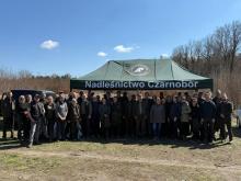 Odnowienia w Nadleśnictwie Czarnobór - akcja biura RDLP w Szczecinku