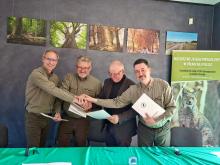 Ochrona Żubra i Rysia na terenie RDLP w Szczecinku, Pile, Szczecinie i Poznaniu.