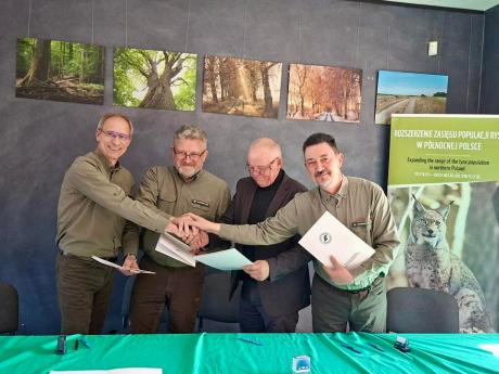 Ochrona Żubra i Rysia na terenie RDLP w Szczecinku, Pile, Szczecinie i Poznaniu.